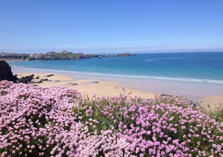 Atlantic Reach Cottages, Newquay 6 Miles, 2 Bedrooms Dış mekan fotoğraf